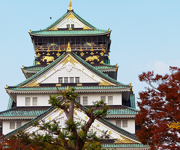 activity_detail_image