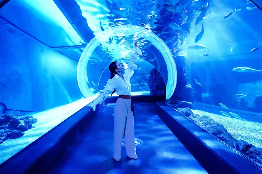 방콕 씨라이프 오션월드 패키지 입장권