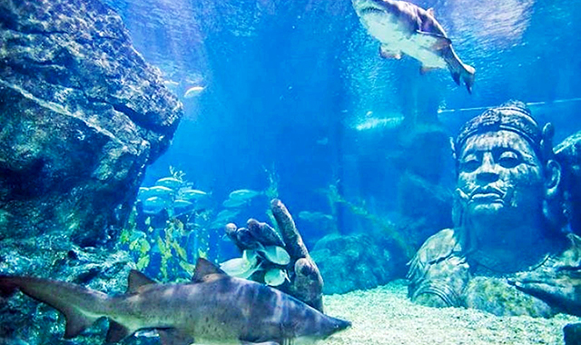 방콕 씨라이프 오션월드 패키지 입장권