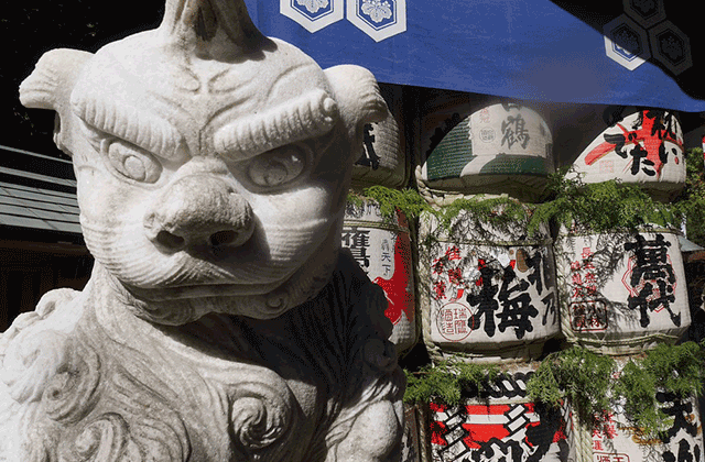 JR 큐슈 후쿠오카 와이드 모바일 패스