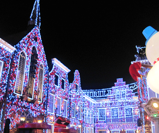 activity_detail_image