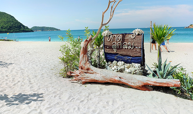 파타야 꼬사메산 스노클링과 카오키여우 오픈주 단독 투어 (방콕, 파타야 출발)