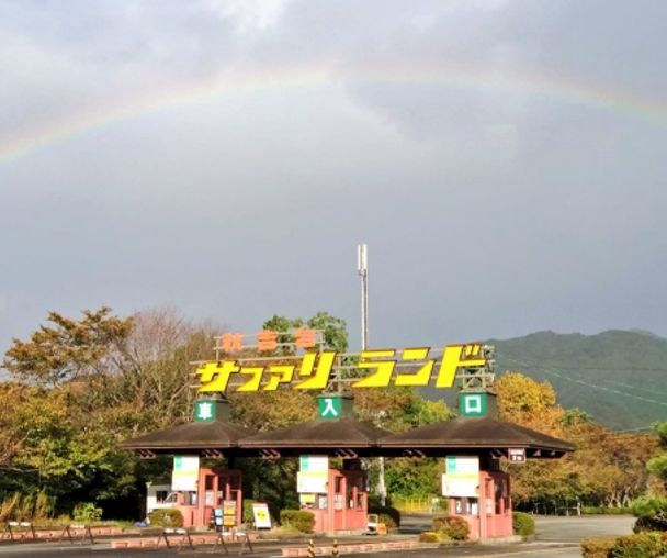 activity_detail_image