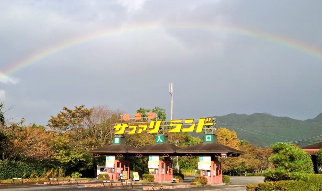 야마구치 미네 아키요시다이 사파리 랜드 입장권