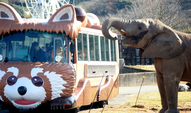 야마구치 미네 아키요시다이 사파리 랜드 입장권