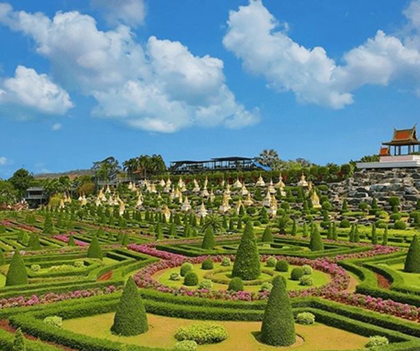 activity_detail_image