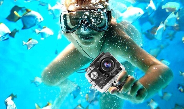 [거북이보장제] 하와이 와이키키 거북이 스노클링 + 해양 액티비티 5종 체험