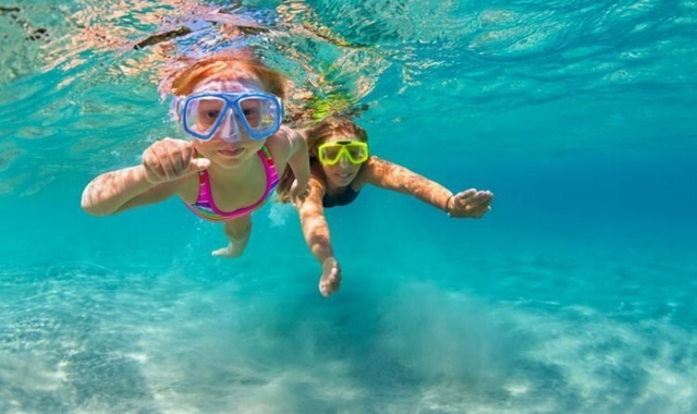 [거북이보장제] 하와이 와이키키 거북이 스노클링 + 해양 액티비티 5종 체험