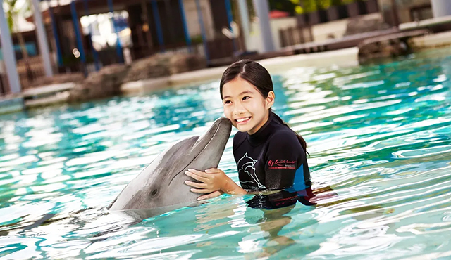 싱가포르 돌핀 아일랜드 체험 (어드벤처 코브 입장권 포함)