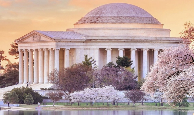 [킹콩투어] 뉴욕 출발: 워싱턴 DC 일일 단독 투어 (최신 차량 / 무제한 와이파이)