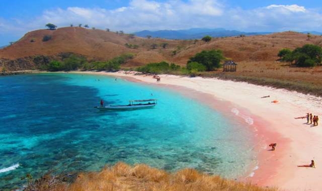 인도네시아 코모도섬 & 핑크비치 스노클링 투어
