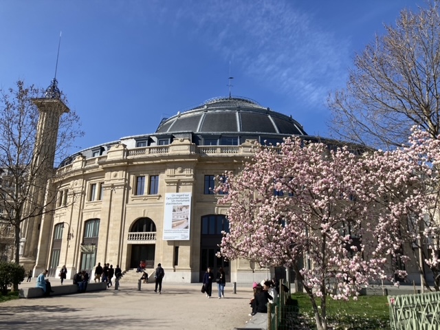 파리 피노 컬렉션 도슨트 투어 - 아티스트와 큐레이터의 완벽한 케미, 잘 차려진 현대 미술