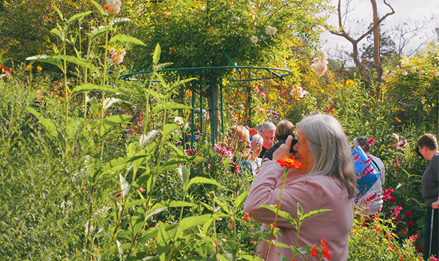 activity_detail_image