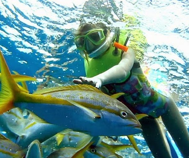 activity_detail_image