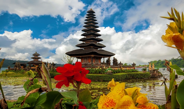 발리 로비나 돌핀와칭 & 멘장안 스노클링 & 브두굴 울룬다누 사원 투어