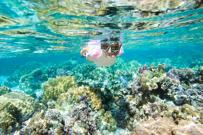 Kota Kinabalu Island Hopping Tour - Sapi Island Snorkeling & BBQ, Kayak
