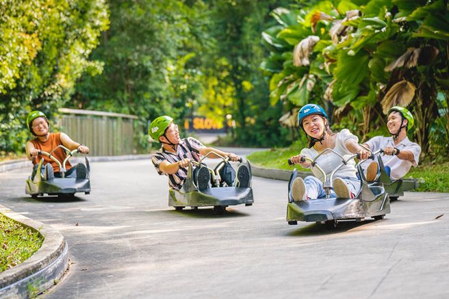 Singapore Skyline Luge & Skyride Ticket