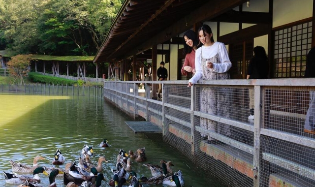 activity_detail_image