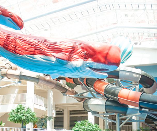 activity_detail_image