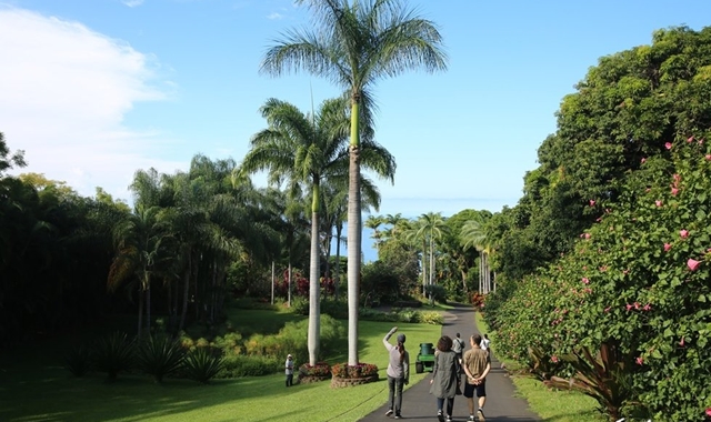 [한인가이드] 하와이 빅아일랜드 일일 투어