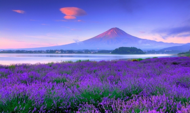 [여행한그릇] 도쿄 출발: 후지산, 하코네 버스 투어 그리고 무료 사진 촬영