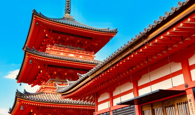 [라쿠투어] 오사카 출발: 교토 일일 버스투어