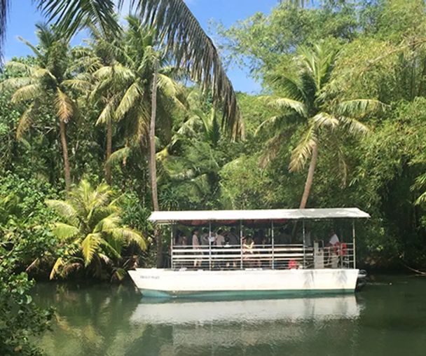 activity_detail_image