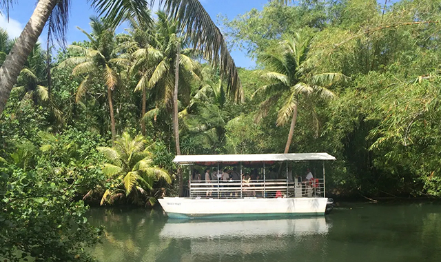 グアム·タロフォフォ川ジャングルリバークルーズ