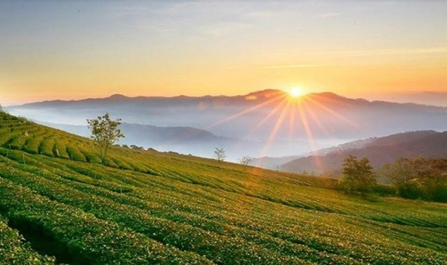 일출과 함께 시작하는 달랏 '구름 사냥 투어'