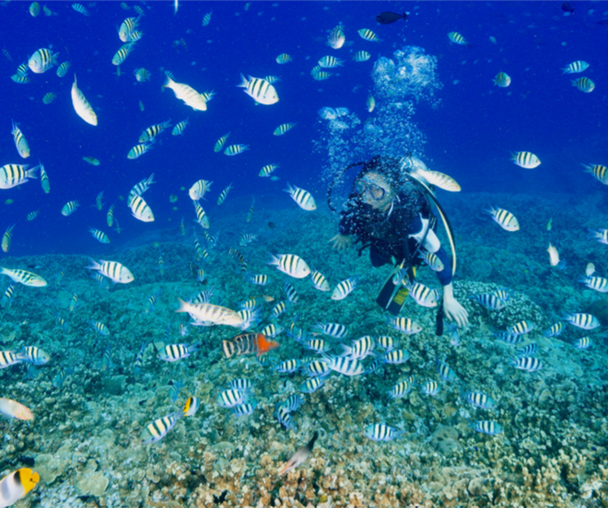 activity_detail_image