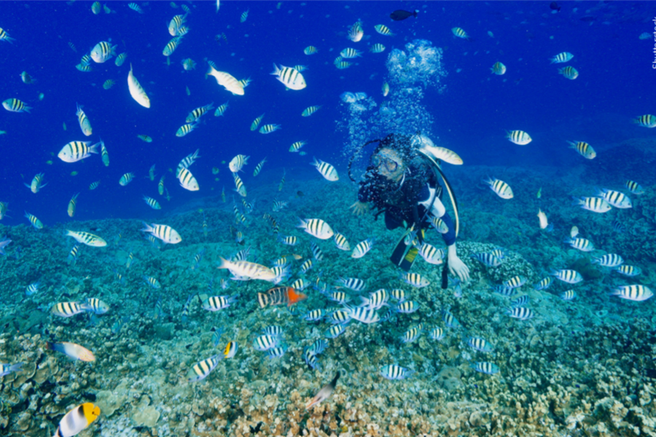Guam Charles Marine Sports Scuba Diving Tour