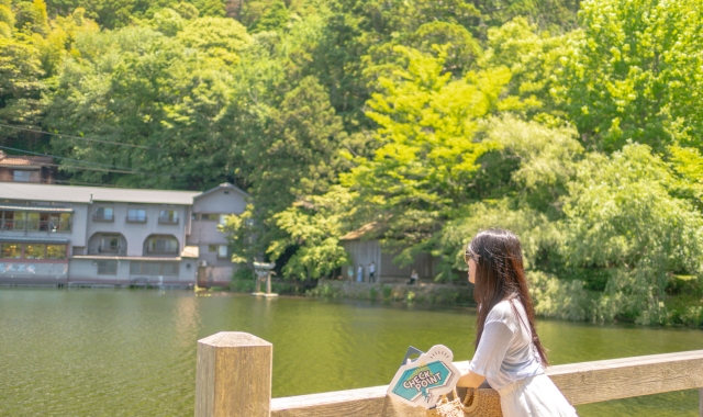 [와쿠와쿠] 큐슈 1호선 유후인, 벳푸, 다자이후 버스투어
