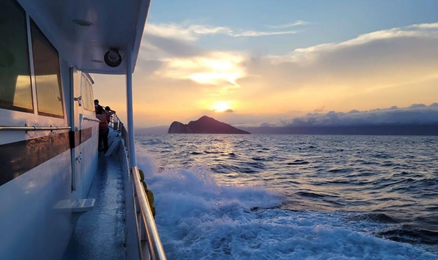 台湾 宜蘭 亀山島 野生イルカ ウォッチングクルーズ