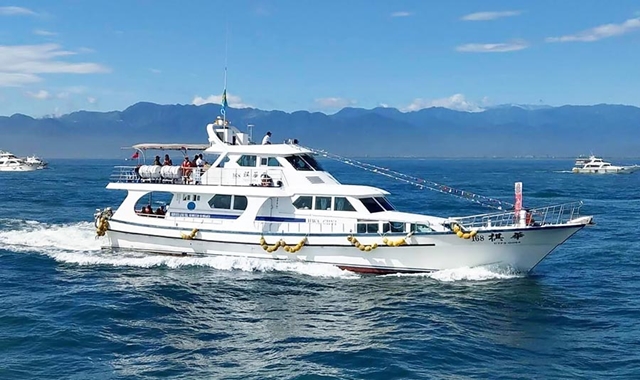 台湾 宜蘭 亀山島 野生イルカ ウォッチングクルーズ