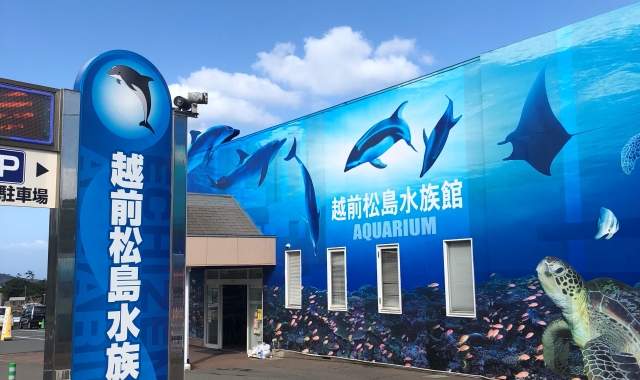 Fukui Echizen Matsushima Aquarium Ticket