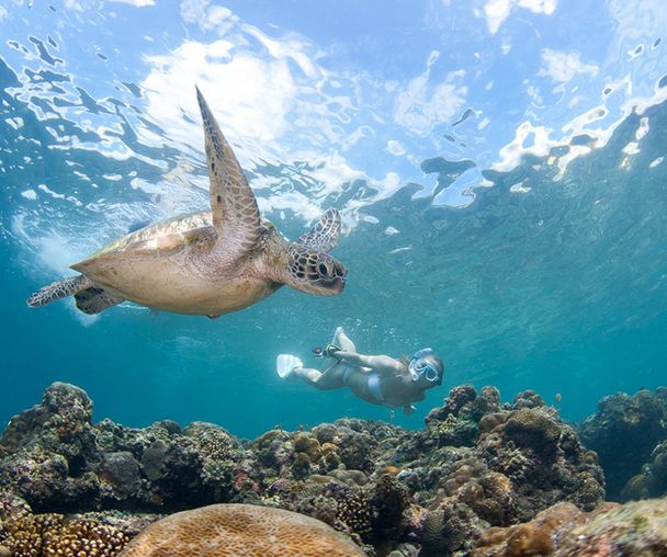 activity_detail_image