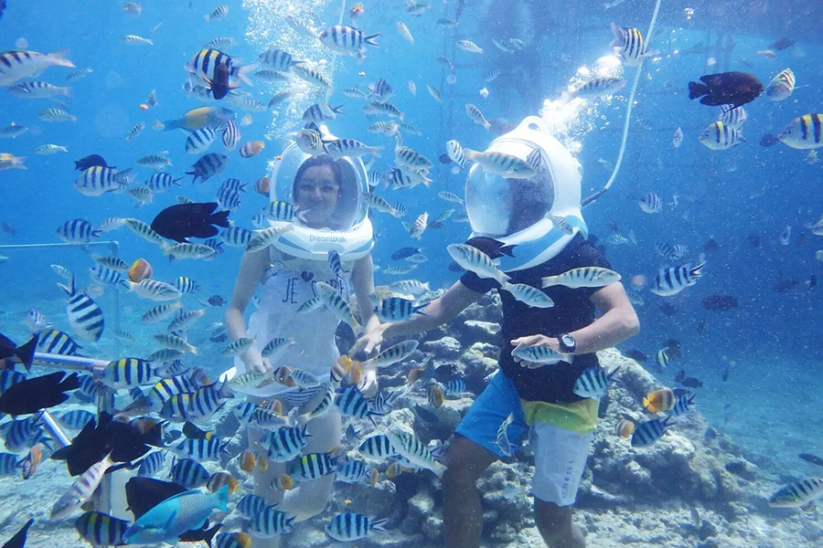 세부 씨워커 할인팩 (씨워커, 헬멧다이빙, 제트스키, 바나나보트)