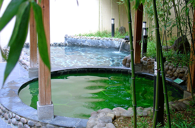 충남 아산 스파비스 종일권