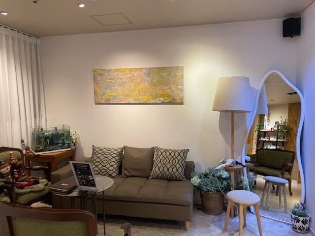 서울 강남 메디스파