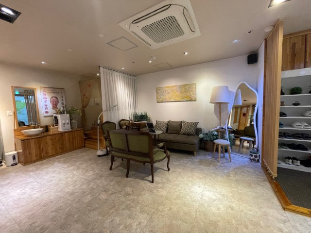 서울 강남 메디스파