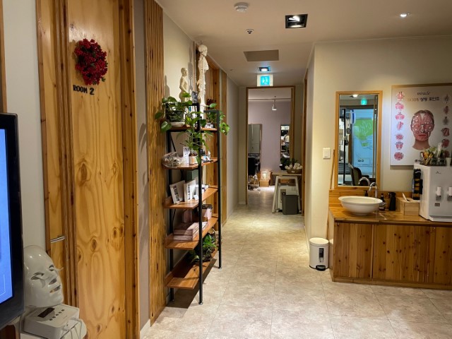 서울 강남 메디스파