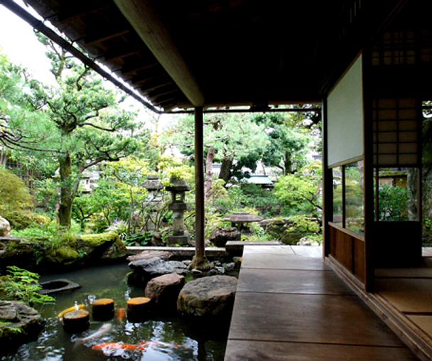 activity_detail_image