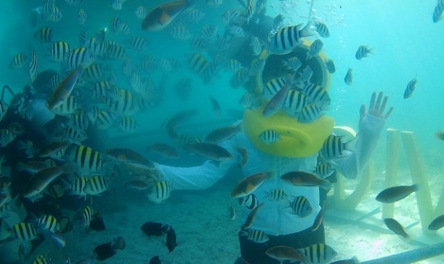 セブ・マクタン・ウォータースポーツ(ジェットスキー/バナナボート/水中スクーター/ヘルメットダイビング/スキューバダイビング)