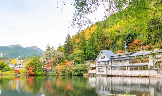 [유투어버스][6가지특전] 후쿠오카 히타, 유후인, 벳부 일일 버스투어 (간식, 입장료 포함)