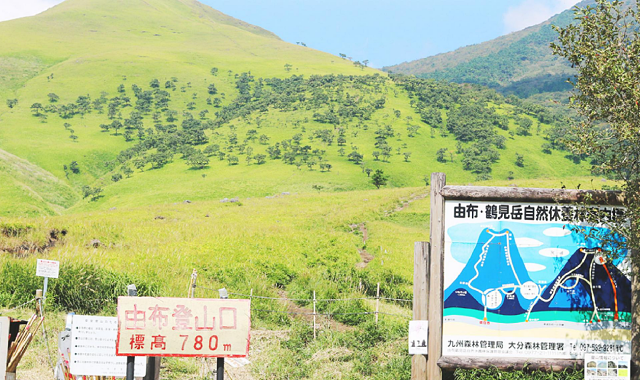 [유투어버스] [6가지특전] 후쿠오카 히타, 유후인, 벳부 일일 버스투어 (간식, 입장료 포함)