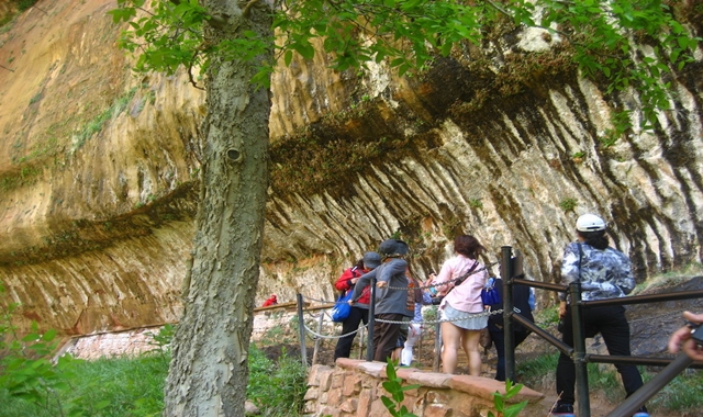 [마이드림투어] [당일투어] 자이언캐년 & 브라이스캐년 단독 투어