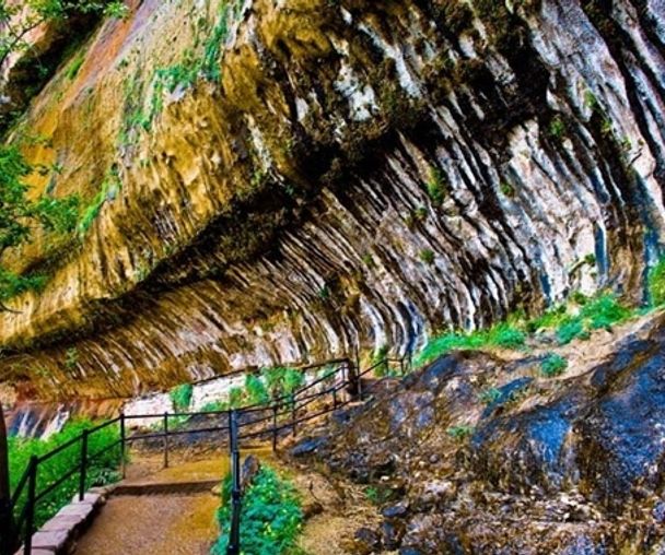 activity_detail_image