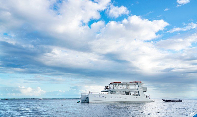 [독점할인] 세부 더마크 크루즈 럭셔리 요트 호핑투어