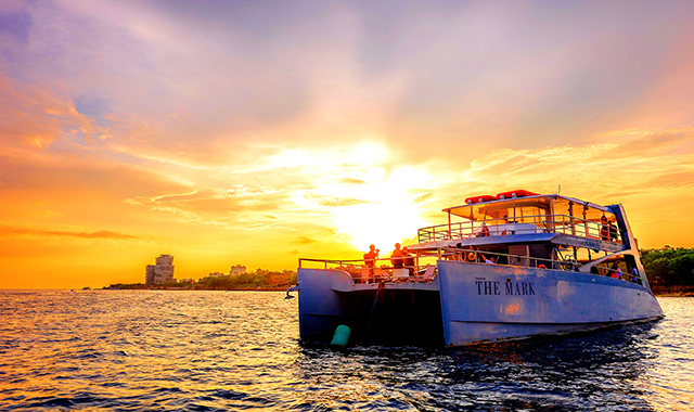 [독점할인] 세부 더마크 크루즈 럭셔리 요트 호핑투어