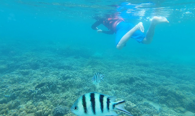 [★무료시티투어] 코타키나발루 마무틱 호핑투어 (씨워킹, 패러세일링)